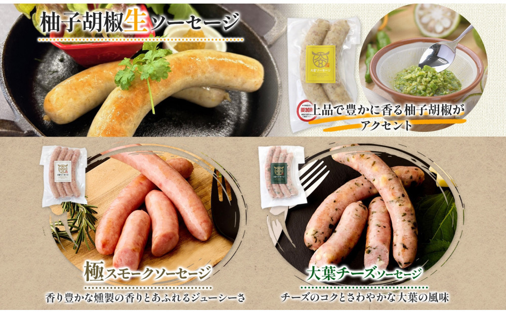 大宮ソーセージ ソーセージ 3種 味違い 詰め合わせ セット 【11100-2594】 豚肉 肉 加工品 生ソーセージ おかず 惣菜 おつまみ 冷凍 ギフト 小分け 贈り物 燻製 柚子胡椒 チーズ 粗