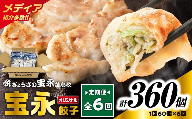 
            【全6回定期便（毎月）】ぎょうざの宝永 宝永餃子 15個入セット（宝永餃子15個入×4袋）合計1.5kg　T004-T01-04
          