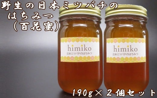 M-BA16.ｈｉｍｉｋｏ（日本ミツバチのはちみつ）大2本