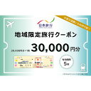 【ふるさと納税】【加賀市】日本旅行　地域限定旅行クーポン（30,000円分） 復興　震災　コロナ【能登半島地震復興支援】 北陸新幹線 F6P-1019