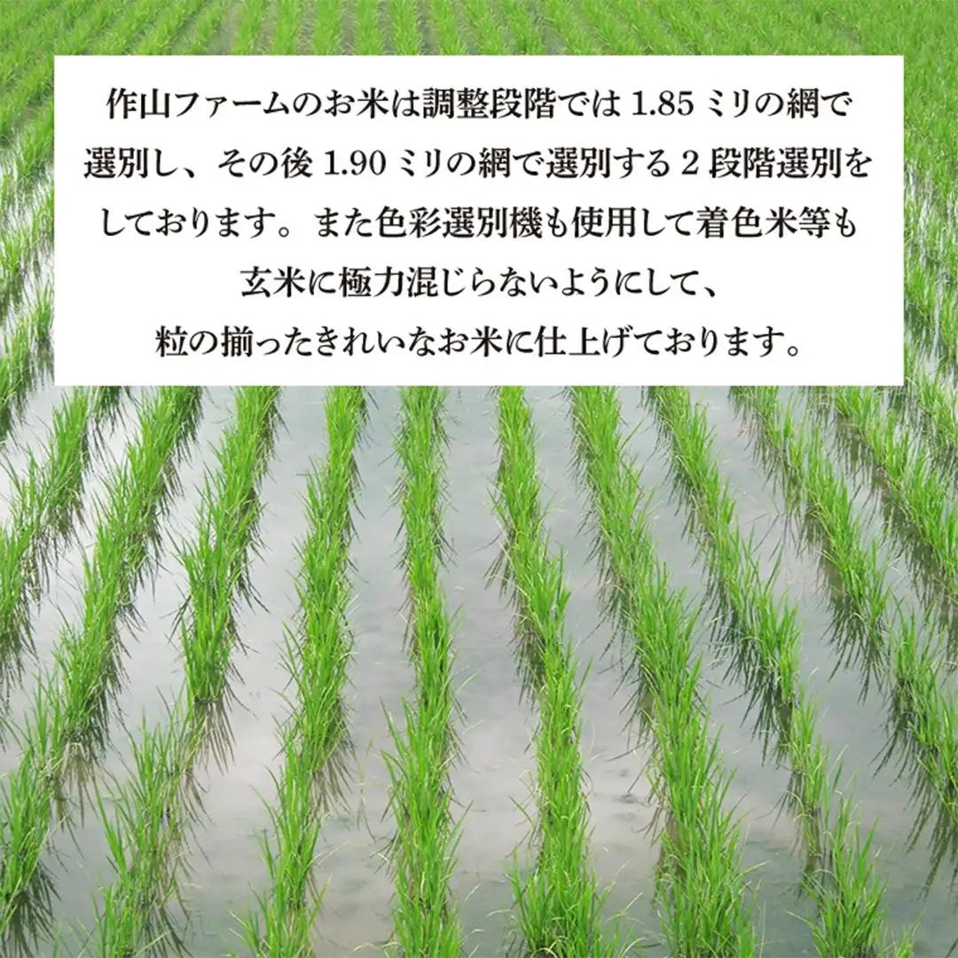 【生産者応援】 完熟夕陽米 (玄米) 10kg (5kg×2) ひとめぼれ 特別栽培米 令和7年産 生産農家直送 (CP035)