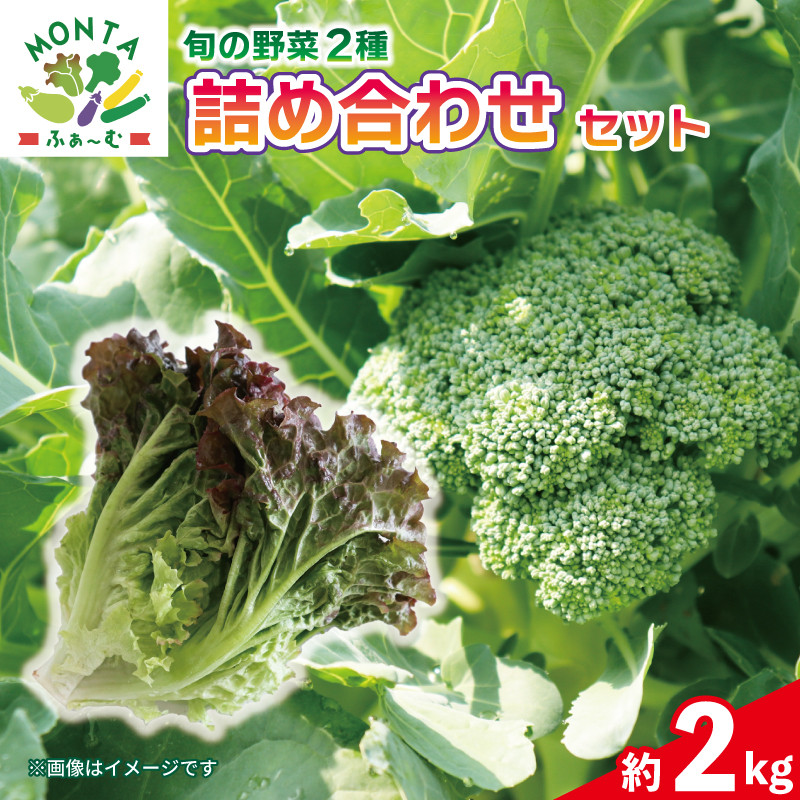 
先行予約 野菜 ブロッコリー サニーレタス 約2kg 詰め合わせ セット 野菜 やさい 国産 朝採れ 新鮮 旬 季節野菜 産地直送 鮮度抜群 サラダ スープ 味噌汁 焼肉 鍋 シチュー カレー スムージー 和食 洋食 中華 ビタミン 美容 健康 冷蔵 お取り寄せ グルメ 送料無料 徳島県 阿波市 MONTAふぁ～む
