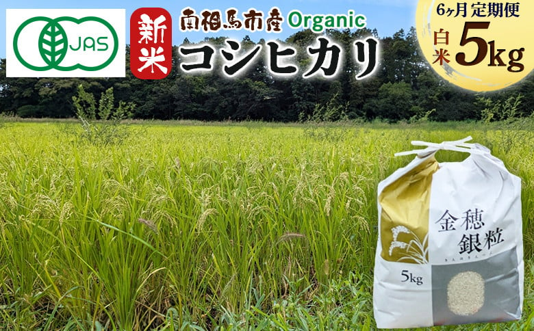 
            【毎月定期便】 有機米コシヒカリ 5kg × 6回 みさき未来 令和6年度産 30キロ 新米 有機 JAS認証 白米 精米 有機米 米 コメ ごはん ブランド米 コシヒカリ 南相馬 福島 福島県産 炊き立て 送料無料 ふるさと納税 オンライン申請【70007】
          