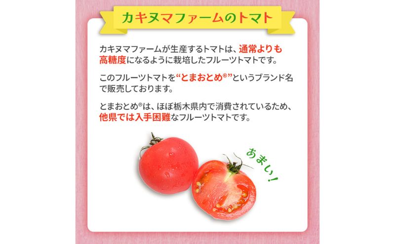 栃木県 鹿沼産 高糖度 フルーツトマト ”とまおとめ” 食べ比べ 2kg お届け：12月下旬～6月上旬 トマト カキヌマファーム アイコ フルティカ アルル イエローアイコ 濃厚 入手困難 贈り物 栃