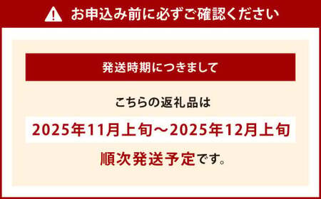 福岡県産 博多甘うぃ 約1.4kg（大玉9玉入り）【2025年11月上旬～12月上旬発送予定】キウイ キウイフルーツ フルーツ 果物 くだもの