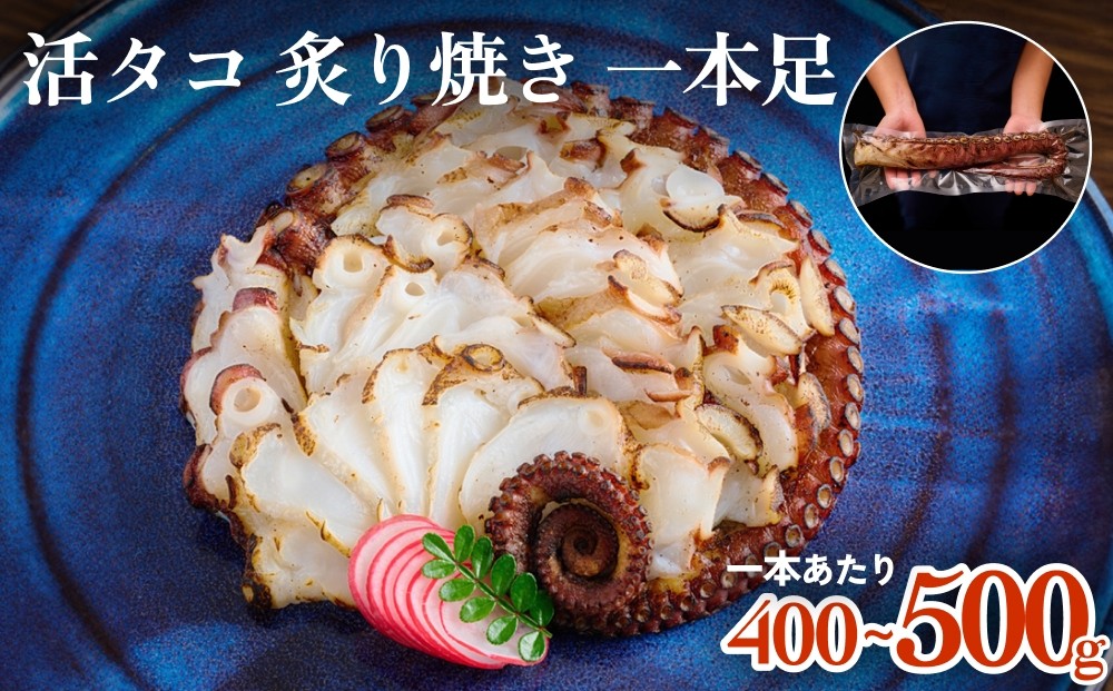 
                  活タコ 炙り焼き 一本足 冷凍 たこ刺し たこ刺身 タコ 国産 たこ 直火焼き おかず おつまみ タコ足 炙りタコ 蛸 国産たこ 海鮮 魚介 タコ刺し タコ刺身 刺身 酒の肴 珍味 お取り寄せ グルメ 家庭用 BBQ バーベキュー パーティー 宮城県 石巻市 送料無料
                