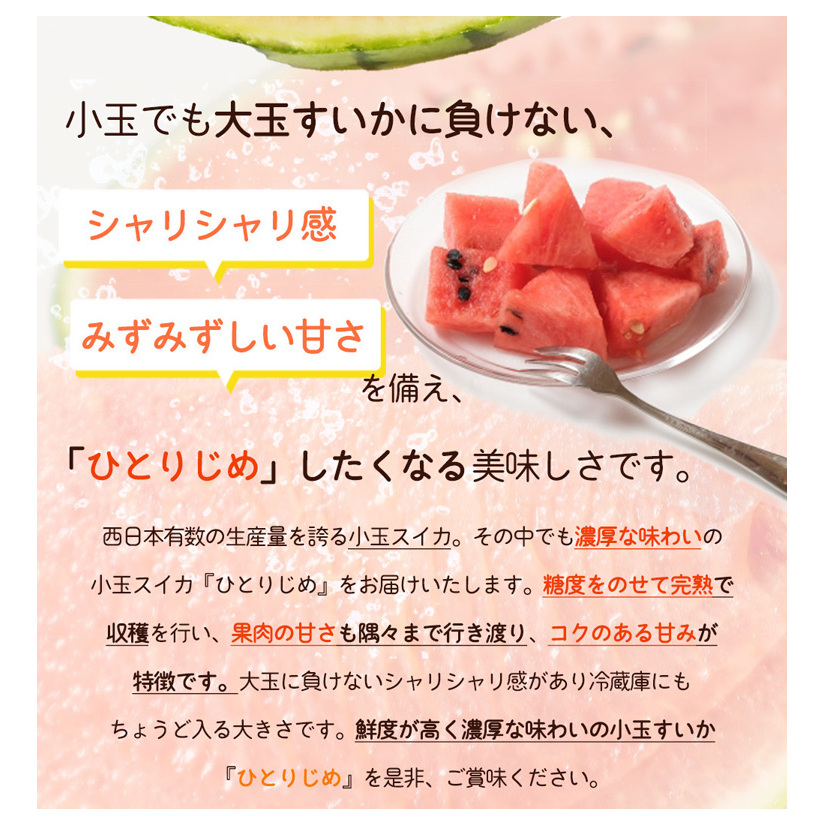 【先行予約】 小玉スイカ「ひとりじめ」 2玉 約3.6kg 紀州和歌山産_イメージ3