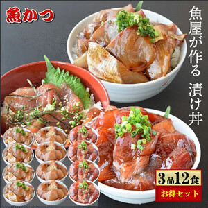 漬け丼 3種×4パック 計12食セット 冷凍 真空パック 小分け 海鮮丼 海鮮セット  海鮮丼 海鮮セット さしみ海鮮丼 新鮮海鮮丼 魚屋の海鮮丼 冷凍海鮮丼 海鮮漬け丼 レトルト海鮮丼 宇部漬け丼 海鮮丼 漬け丼 旬の鮮魚漬け丼 マグロ漬け丼 漬け丼 海鮮丼 漬け丼 レトルト漬け丼 ひらまさ漬け丼 漬け丼レトルト あじ漬け丼 漬け丼 海鮮丼 漬け丼 鯛漬け丼 漬け丼 新鮮漬け丼 ひらめ漬け丼 海鮮丼詰め合わせ 漬け丼 お楽しみづけ丼 おさかな漬け丼 味付き海鮮丼 漬け丼 鯛漬け丼 海鮮丼 漬け丼 