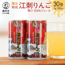 【ふるさと納税】 陽光熟成江刺りんごジュース (195ml×30缶) 江刺産サンふじ使用 ストレート果汁100％[A0048]