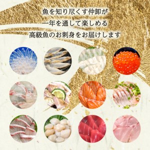 【 刺身 】 高級刺身定期便 6回 EY