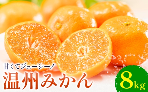 温州みかん 約8kg 日本フルーツ株式会社 熊本県 荒尾市 《10月中旬-2月中旬頃出荷》 デコポン 果物 フルーツ スイーツ デザート