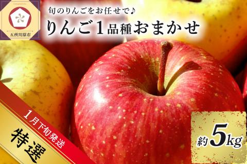 【2025年1月下旬発送】 【特選】 旬の美味しい りんご 約5kg 青森産 【おまかせ1品種】