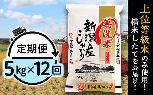 米 無洗米 5kg 定期便 12回 12ヶ月 新潟 コシヒカリ 精米 白米 お米 新潟こしひかり 新潟県産コシヒカリ 令和7年産 31-M5Z【無洗米】新潟県産コシヒカリ5kg【12ヶ月連続お届け】