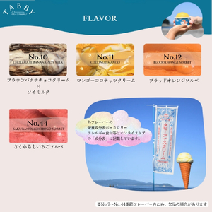 【TABBY ICE CREAM】おまかせチョイス♪ アイスクリーム 12個 セット  カップアイス セット オリジナル 大人気 手作り 天然素材 ヴィーガン 無添加 がん アイスクリーム  デザート