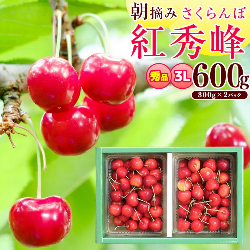 【ふるさと納税】【楽天限定】《先行予約》 令和8年産 さくらんぼ 「紅秀峰」 秀品 600g 3Lサイズ 山形県産 2026年産 【2026年6月中旬頃〜7月上旬頃発送予定】 ※配送不可 沖縄・離島 お取り寄せ 特産 フルーツ 果物 果実 くだもの サクランボ 東北 ふるさと納税