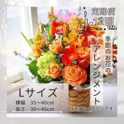 ふるさと納税 筑西市 【毎月定期便】季節のお花のアレンジメントLサイズ〜届いてそのまま飾れるフラワーアレンジ全12回