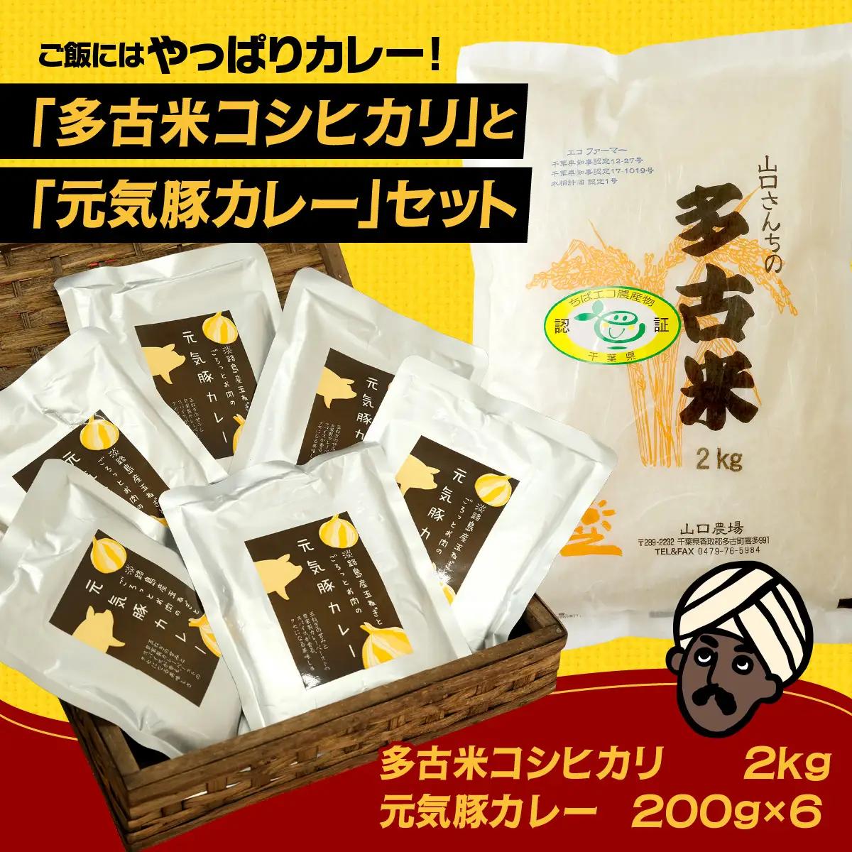 ご飯にはやっぱりカレー!「多古米コシヒカリ2kg」と「元気豚カレー200g×6」セット_ 精米 米    コシヒカリ 米 こしひかり  惣菜・加工品 カレー  _【配送不可地域：離島・沖縄県】 TAKF021