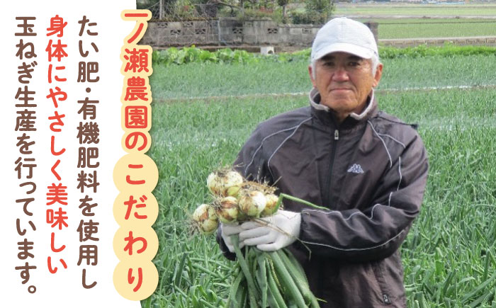 【農家直送！】こだわり 新玉ねぎ （サイズ混合） 約5kg 【一ノ瀬農園】玉葱 早生 佐賀 [IBQ003]