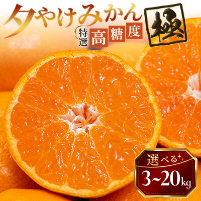 【ふるさと納税】【甘みが濃縮されたみかん】愛媛で育った夕やけみかん【極】 3kg/5kg/10kg/20kg_ みかん ミカン 蜜柑 夕やけみかん 果物 くだもの フルーツ 甘い おいしい かんきつ 柑橘 柑橘類 国産 愛媛 愛媛県 八幡浜市 産直 産地直送 送料無料 【G1508877】