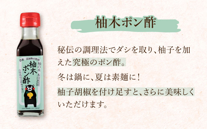 【全12回定期便】ゆずぺっぱぁ 甘口 120ml 柚木ポン酢 120ml 各2本 柚子 熊本 山都町【本田農園】[YDL038]