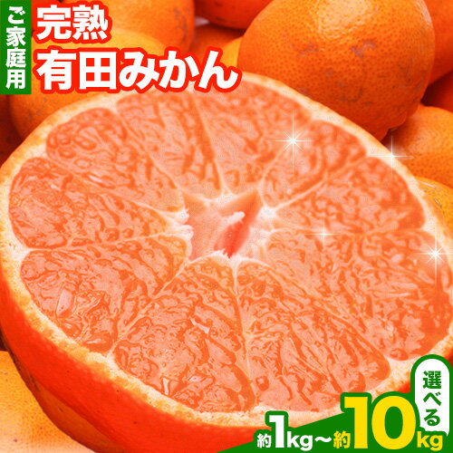 【ふるさと納税】家庭用 完熟 有田みかん 1kg 2.5kg 5kg 10kg 各＋250g (傷み補償分)【光センサー選果】池田鹿蔵農園@日高町（池田農園株式会社）《11月中旬-1月末頃出荷》和歌山県 日高町 訳あり わけあり みかん【配送不可地域あり】