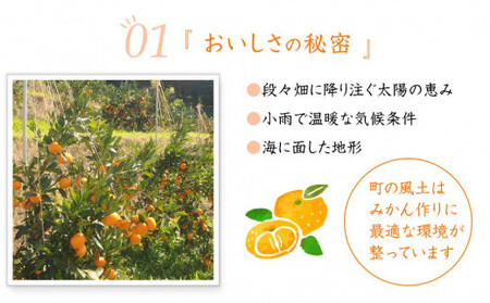 早生みかん 約5kg 大小混合 《ご家庭用》 和歌山県産 農園直送 まごころ産直みかん 【北海道・沖縄県・一部離島 配送不可】ちょっと訳あり ミカン 蜜柑 温州みかん わけあり 訳アリ ［Mg14］