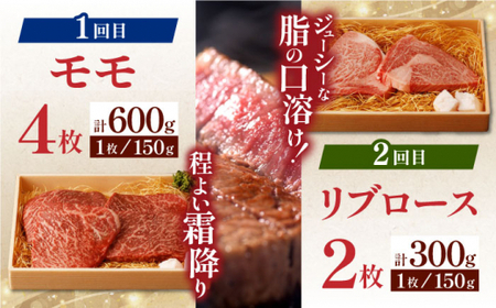 【全6回定期便】 長崎和牛 ステーキざんまいコース 総計2.5kg / モモ リブロース イチボ サーロイン ランプ ヒレ / 肉 牛肉 ステーキ 焼肉 / 波佐見町 / 野中精肉店 [VF81] 九