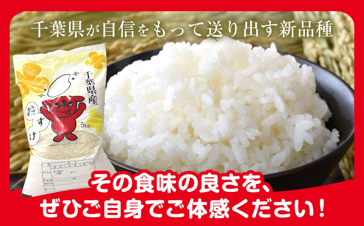 千葉県産 粒すけ 白米 5kg《30日以内に出荷予定(土日祝除く)》令和8年産 千葉県 勝浦市 米 お米 千葉県産 精米【配送不可地域あり】(離島)