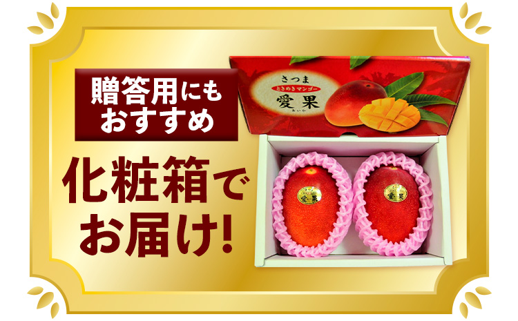 鹿児島県産 マンゴー 化粧箱入り 2玉 2L よしたか農園《5月上旬‐5月下旬頃出荷》鹿児島県 さつま町 マンゴー 果物 フルーツ 送料無料