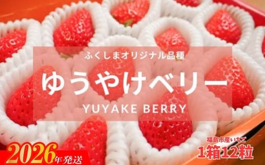 
            No.2849福島市産 いちご　ゆうやけベリー1箱12粒（400g）【2026年１月下旬より発送】
          