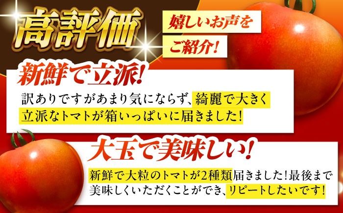 ＼受付期間1ヵ月延長！／【2025年7月中旬から10月下旬に順次発送】訳あり大玉トマト4kg / 朝採り 甘い 桃太郎 とまと / 恵那市 / クリエイティブファーマーズ [AUAH016]