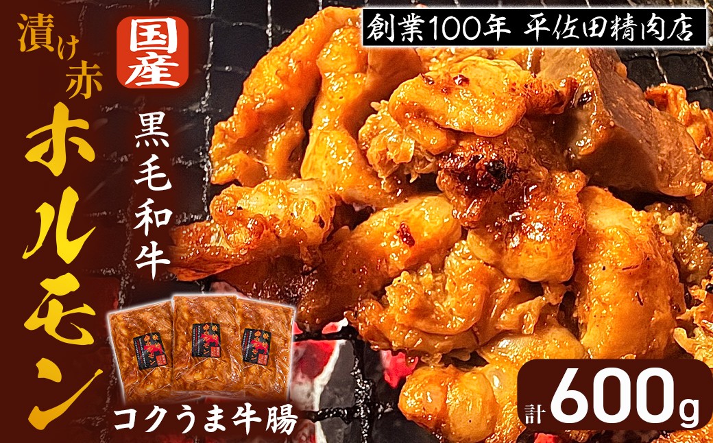
                  漬け赤ホルモン コクうま牛腸 600g 焼肉 BBQ 人気 ホルモン ホルモン焼き ホルモン肉 味付きホルモン 味付けホルモン 味付き肉 ほるもん 焼肉用ホルモン 冷凍ホルモン 
                