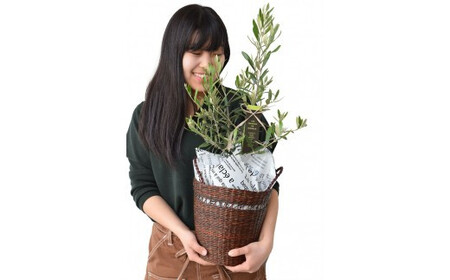 グリーンのある生活を観葉･多肉･花鉢植物（12か月）