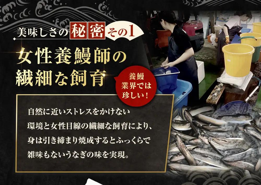 めぐみうなぎ きざみ 100g × 10パック 計1kg うなぎ 鰻 ウナギ unagi 国産うなぎ きざみうなぎ 刻みうなぎ うなぎ蒲焼 カット 小分け 個包装 真空パック 冷凍 ひつまぶし うな丼