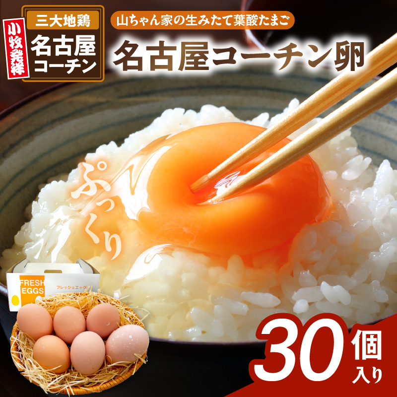 【山ちゃん家の生みたて葉酸たまご】名古屋コーチン卵（30個入り）［132Y01］