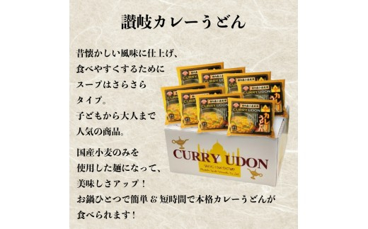 【定期便12回毎月】さぬきうどん ＆ コク旨 カレーうどん 詰め合わせ セット 8人前 定期便 12回 ダシ付き スープ付き 宮武讃岐製麺所 丸亀からお届け 讃岐うどん 食べ比べ 麺 麺類 うどん カ