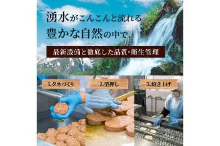 国産豚 ハンバーグ5個セット シェモワ