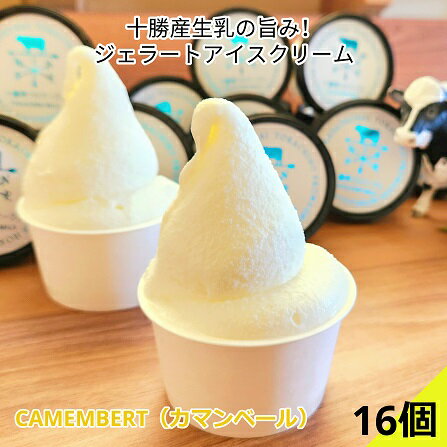 【ふるさと納税】十勝産生乳の旨み！カップアイス 16個セット CAMEMBERT（カマンベール）[027-0272]