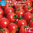 【ふるさと納税】先行予約　トマト魂！峯本の贅沢フルティカトマト（中玉サイズ）選べる内容量 1kg/2kg/3kg/4kg ミディトマト ミニトマト フルーツトマト トマト ふるさと納税 フルティカ とまと 美味しい 甘い 冷蔵配送 大量 箱詰め 国産 故郷納税 高知 4500円～【R01031】