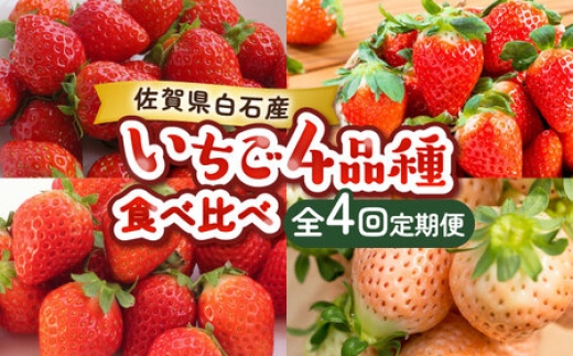
                  【2027年1月以降発送】【全4回定期便】いちご4品種食べ比べ（いちごさん・さがほのか・よつぼし・淡雪） / いちご イチゴ 苺 果物 フルーツ / 佐賀県 / 岸川農園 [41ASAG033]
                