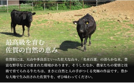 佐賀牛ヒレ肉ステーキ 2枚 極上のやわらかさと旨み＜計300g＞ 特別な日 ご褒美 フィレ 和牛 国産牛 300グラム 2枚 40000円 4万円 フィレステーキ ヒレステーキ ヒレ ステーキ 美味し