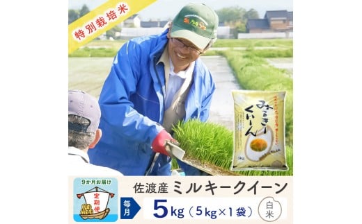 【新米予約 9か月定期便】佐渡島産ミルキークイーン 白米5Kg 令和7年 特別栽培米