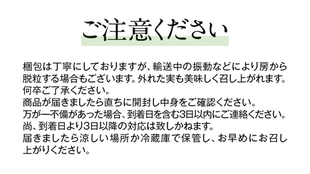 【最短3日発送】 シャインマスカット1.5kg  ( 茨城県共通返礼品 石岡市 ) 数量限定 フルーツ 果物 マスカット ぶどう 葡萄 ブドウ 旬 国産 産地直送 [FB004sa] 