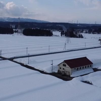 ふるさと納税 十日町市 【毎月定期便】魚沼産 新之助 5kg全6回 |  | 01