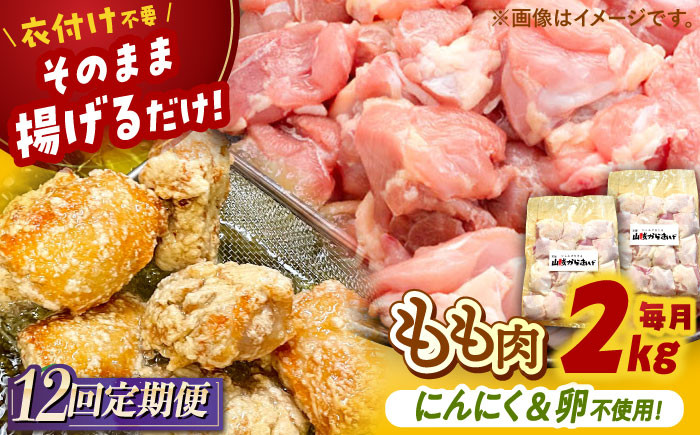 
            【全12回定期便】山賊からあげ（ 骨なし ）2kg ▼ 大容量 からあげ 2kg 冷凍 唐揚げ から揚げ お弁当 おかず 簡単 おすすめ 人気 鶏肉 若鶏 若どり モモ肉 もも肉 定期便 桂川町/山賊からあげ桂川店[ADAP008]
          
