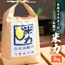 【ふるさと納税】米 3kg お米マイスターがお届け 配送当日に精米 小郡産 栽培期間中 無農薬 お米 米力　【小郡市】