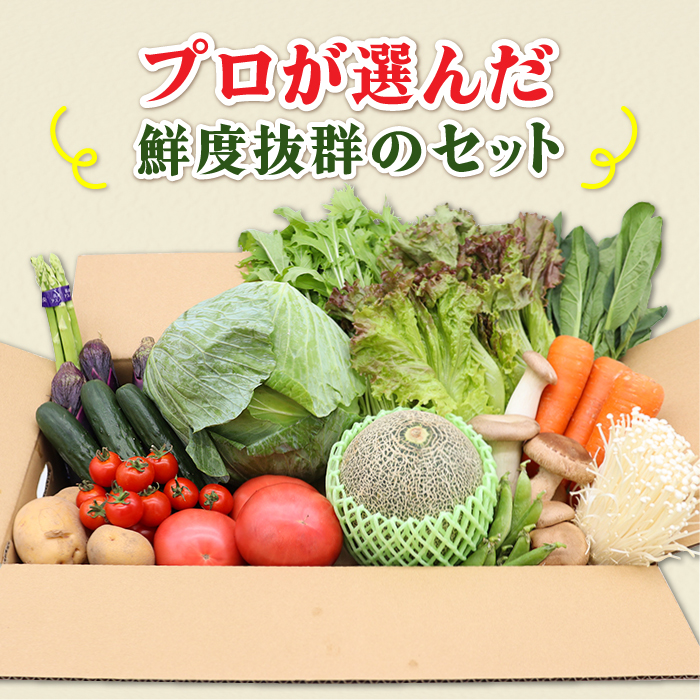 【毎月コース】豪華！野菜 果物 きのこセット 15品目以上 3回定期便 / 野菜定期便 やさい定期便 フルーツ 果物 キノコ 詰め合わせ / 南島原市 / 吉岡青果 [SCZ023]_イメージ4