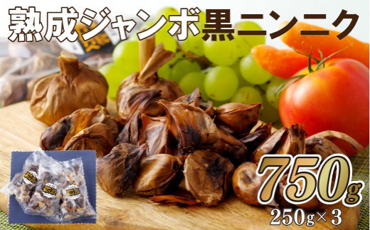 【 国産 】 熟成 ジャンボ 黒 ニンニク 750g セット ( 250g × 3 ) 特大 黒にんにく 薬味 スパイス 長崎県 佐世保市