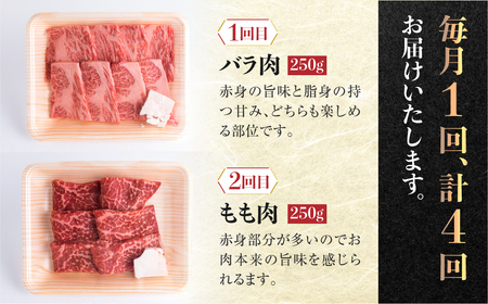 飛騨牛 定期便 4回 焼肉 食べ比べ 250g×4回 焼き肉 牛肉 もも ロース バラ 肩ロース 毎月お届け バーベキュー BBQ JAひだ 40000円 [S401]