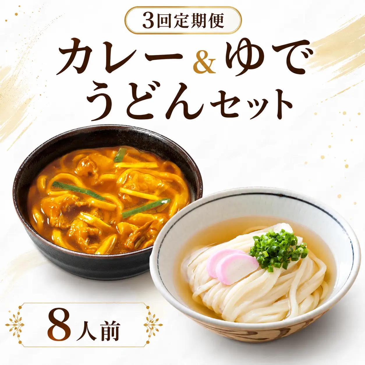 【定期便3回毎月】さぬきうどん ＆ カレーうどん セット 8人前 定期便 出汁 スープ付き